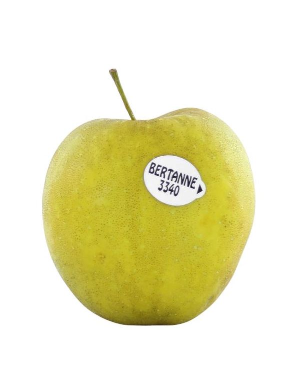 Pomme Bertanne à l'unité