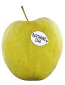 Pomme Bertanne à l'unité