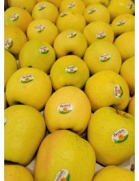 Pomme Golden du Limousin