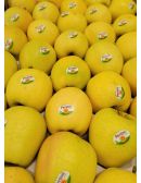 Pomme Golden du Limousin