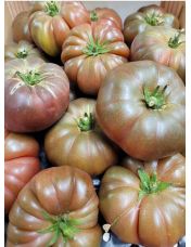Tomate noire de Crim?e vrac 1 kg - origine France