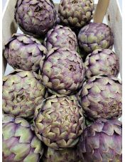 Artichaut violet origine France vendu au kilo