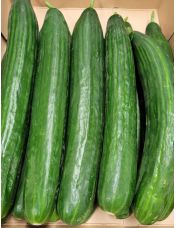 Concombre origine France ? l'unit?