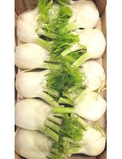 Fenouil origine France ? l'unit?