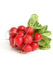 Radis rouge en botte origine France