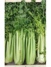 C?leri branche origine France vrac 500 g