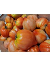 Tomate cotel?e rouge vrac 1 kg - Origine France