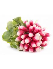 Radis rose en botte origine France