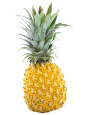 Ananas Victoria origine France ? l'unit?