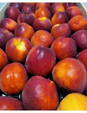 Nectarine Jaune vrac 1 kg - Origine France