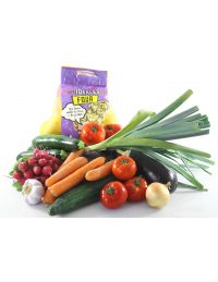 Panier complet avec les légumes du quotidien