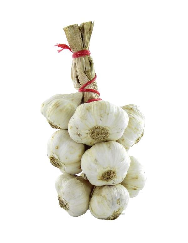 Petite tresse d'ail blanc