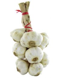 Petite tresse d'ail blanc