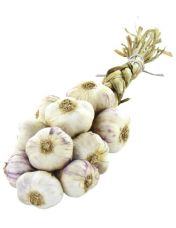 Tresse d'Ail Violet Origine France