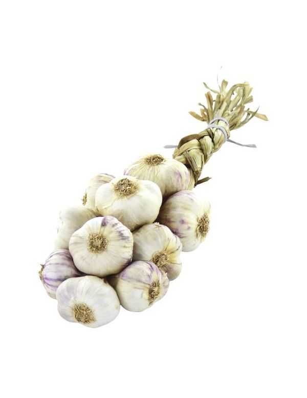 Petite tresse d'ail violet