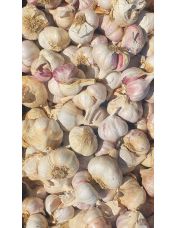 Ail premier prix vrac 500 g - Origine France