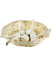 ail éléphant dans panier