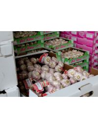 Ail rose de Lautrec, tresse de 1 kg, IGP, Label Rouge