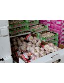 Ail rose de Lautrec, tresse de 1 kg, IGP, Label Rouge