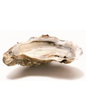 Hu?tres de Bouzigues N?3 - Hu?tre de M?diterran?e ultra-fra?che