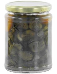 Gros escargots de Bourgogne