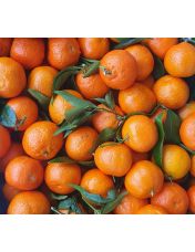 Cl?mentine Corse IGP vrac 1 kg