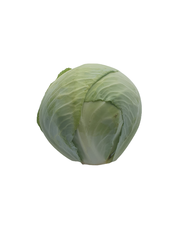 chou blanc lisse