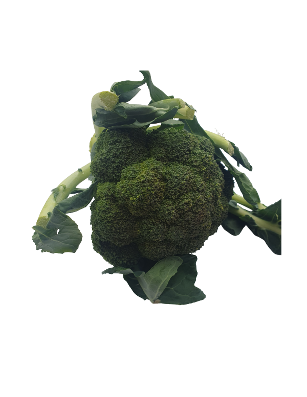 brocoli frais