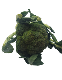 brocoli frais