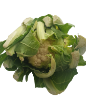 Chou-fleur vendu ? la pi?ce - Origine France
