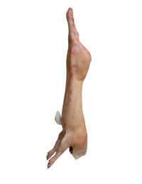 jeune cochon prêt à cuire