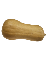 butternut