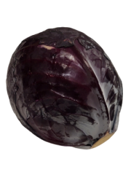 chou rouge origine france