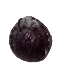 chou rouge vente en ligne