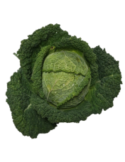 Chou vert fris? - Origine France
