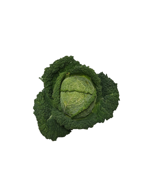 chou vert frisé origine france