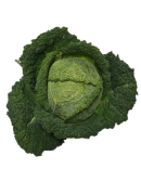 chou vert frisé origine france