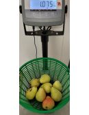 poire guyot sur une balance