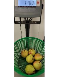 poire williams sur une balance