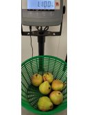 poire williams sur une balance