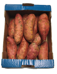 cagette de patate douce