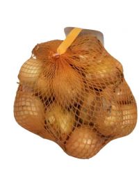 oignon saucier france