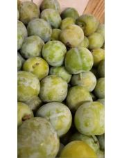 Prune Reine Claude calibre 35 / 40 - vendue au kilo - Origine France