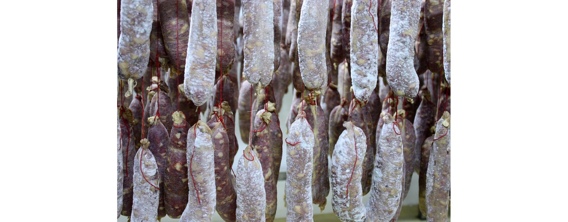 Le saucisson : Charcuterie Française d'Exception